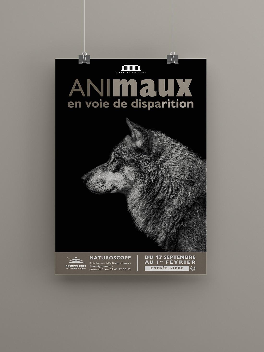 affiche animaux_mise en situation_loup_BD