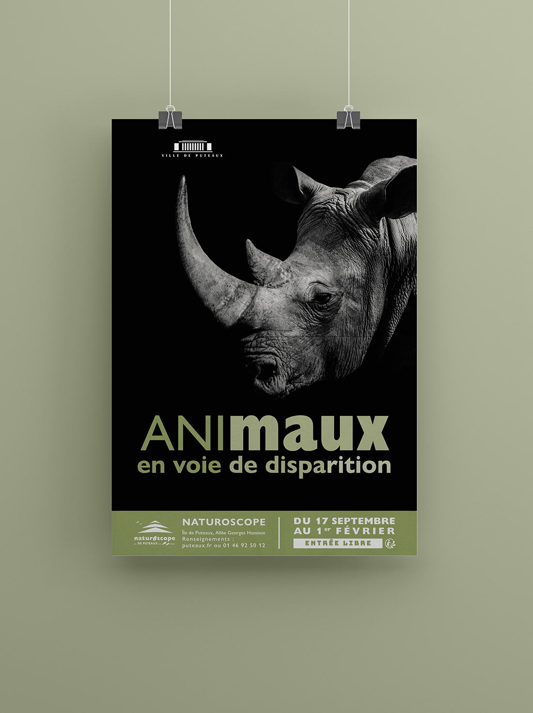 affiche animaux_mise en situation_rhino_BD