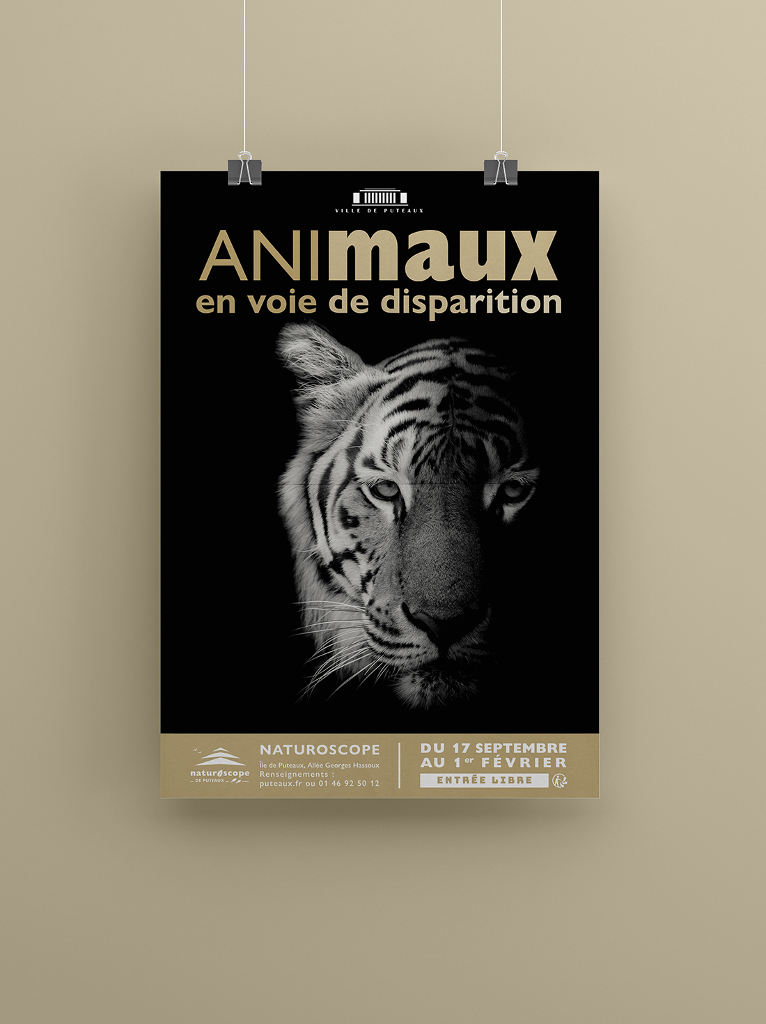 affiche animaux_mise en situation_tigre_BD