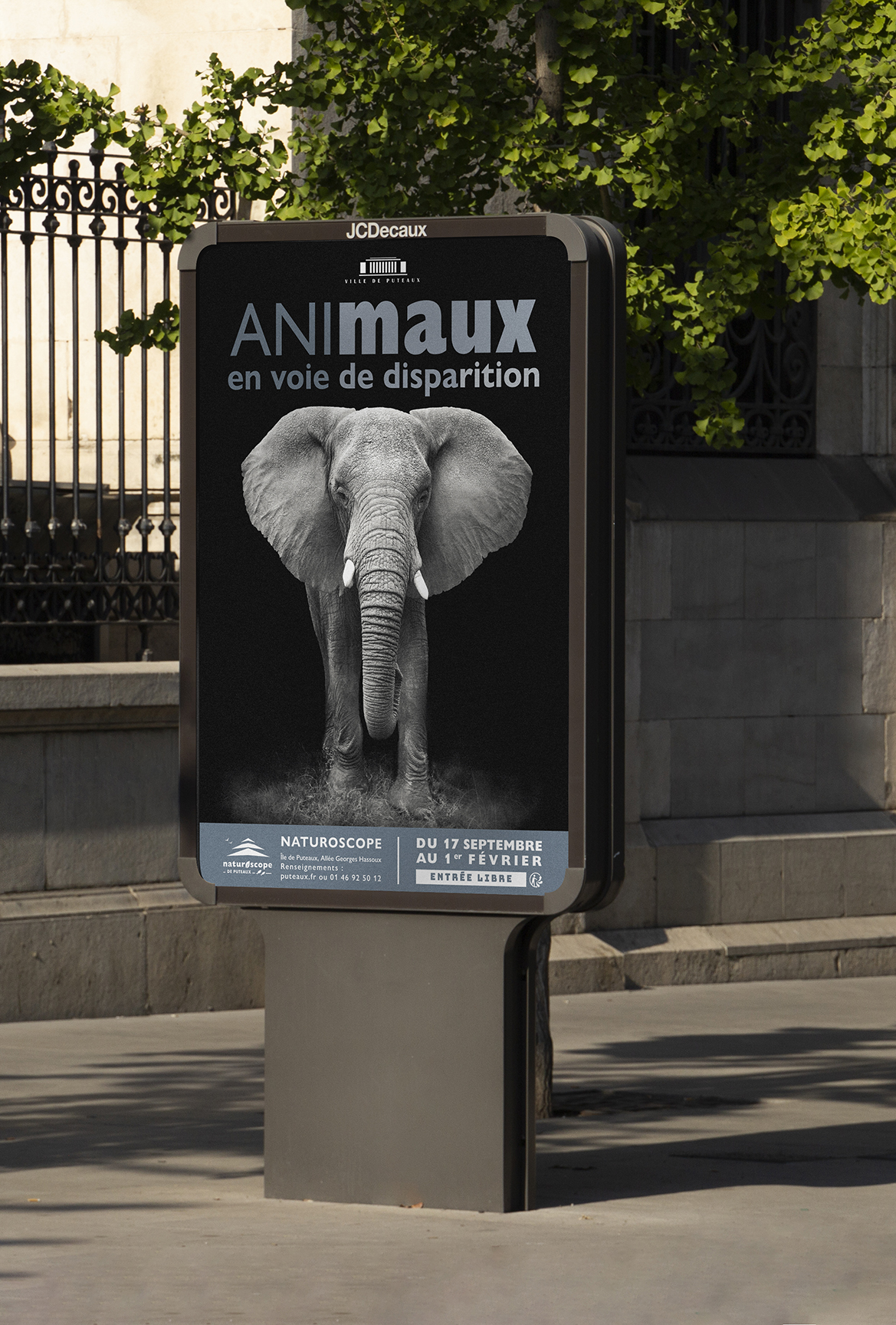 affiche_elephant_DECAUX-portrait_BD