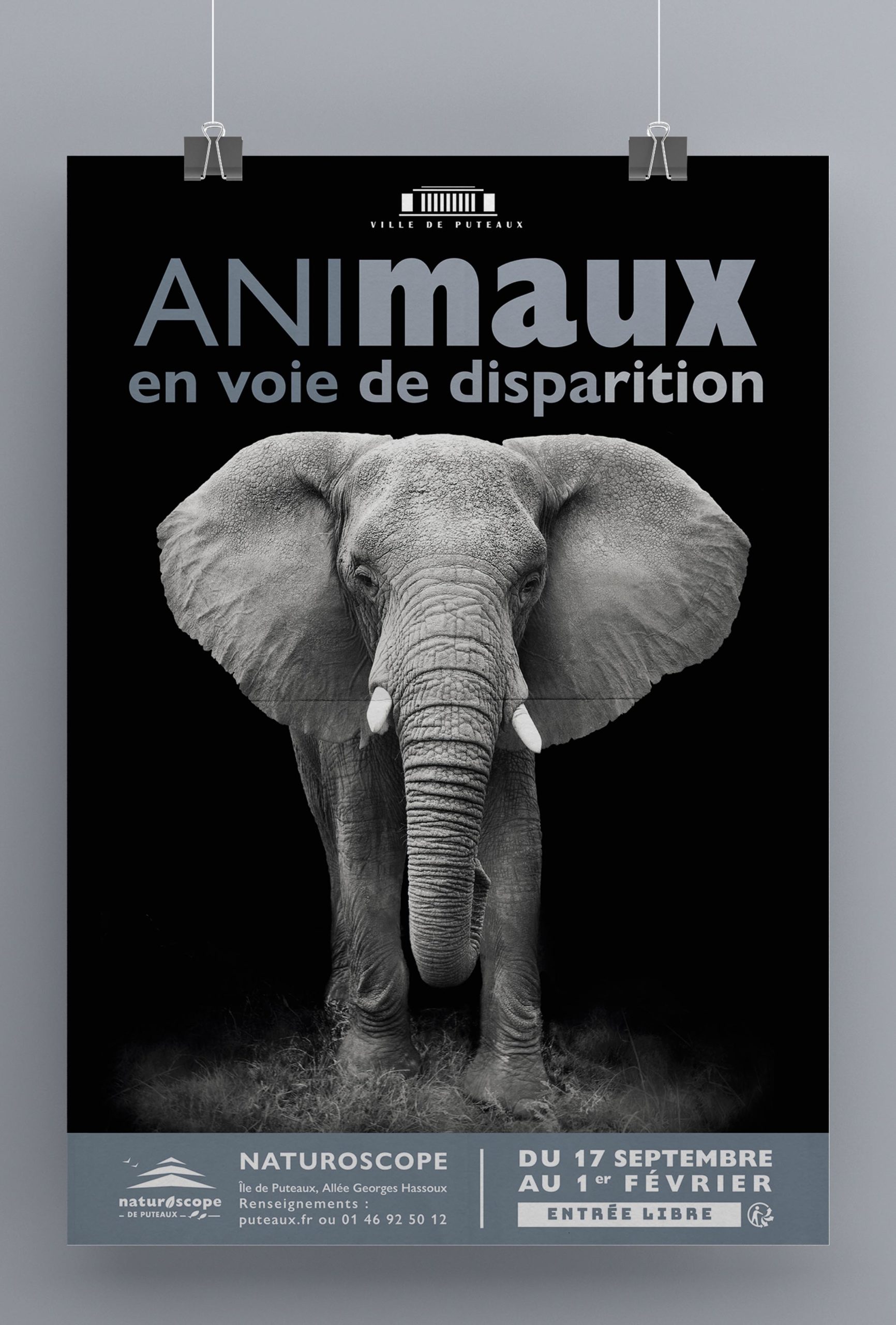 affiche_elephant_Gros