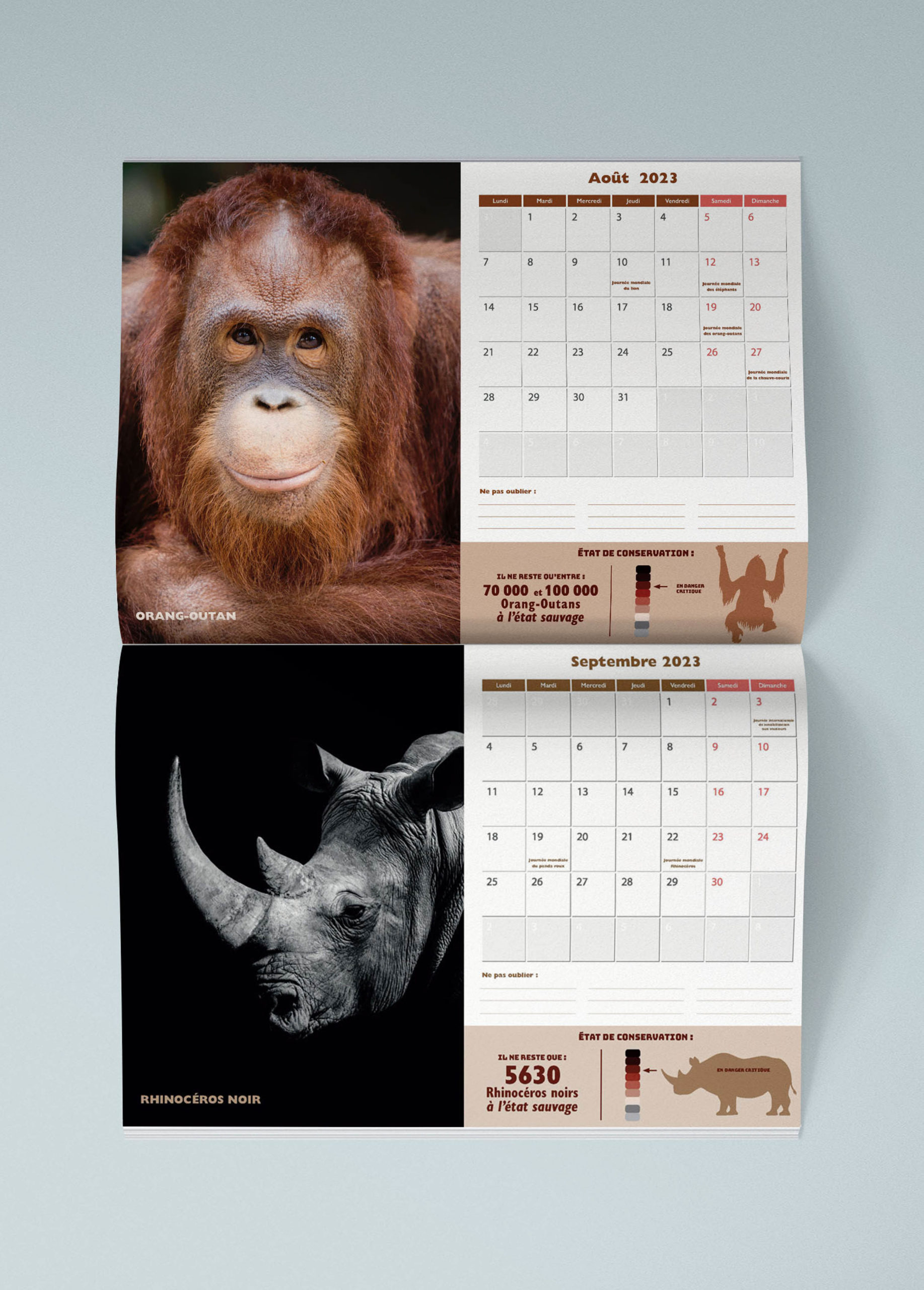 calendrier animaux int V 1