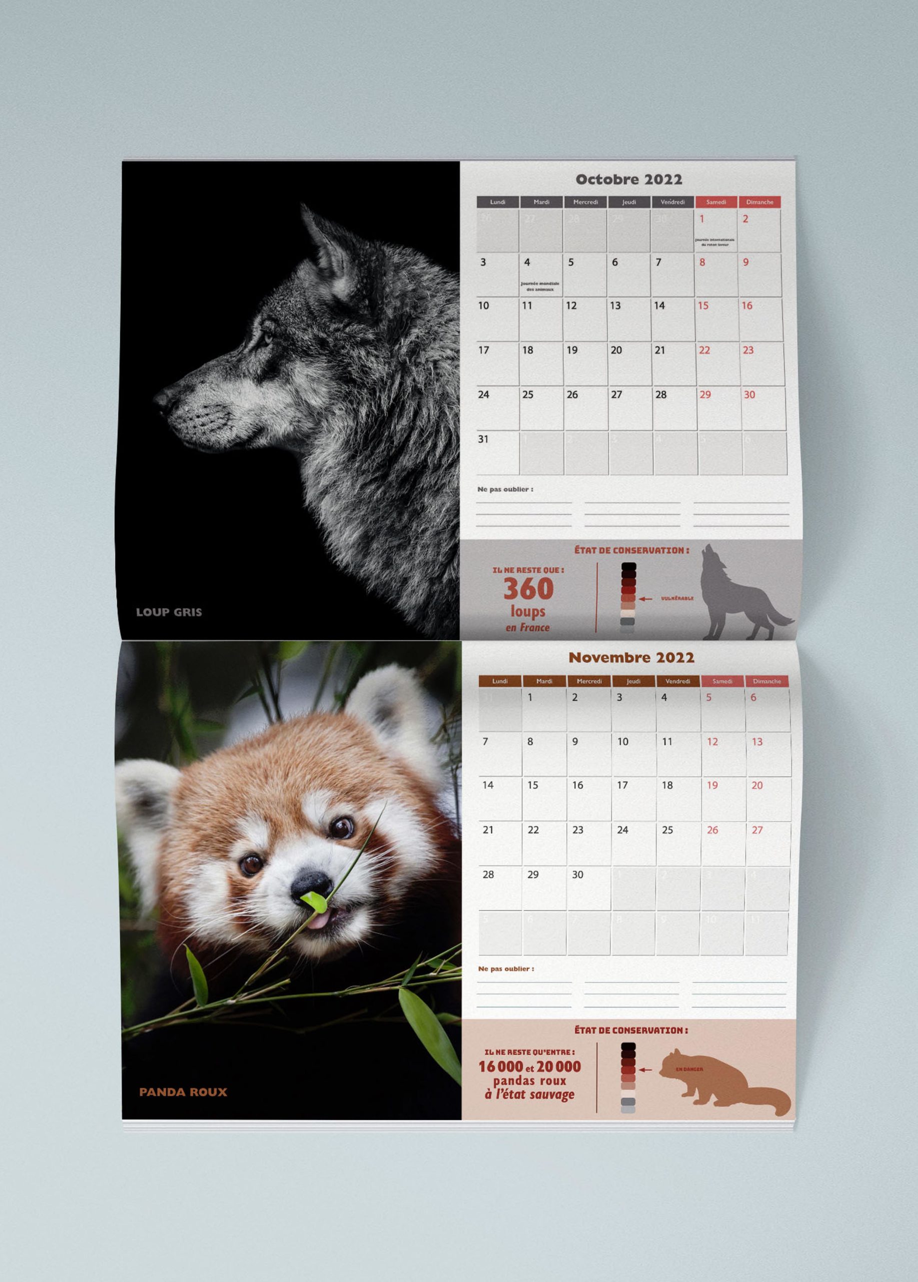 calendrier animaux int V 2