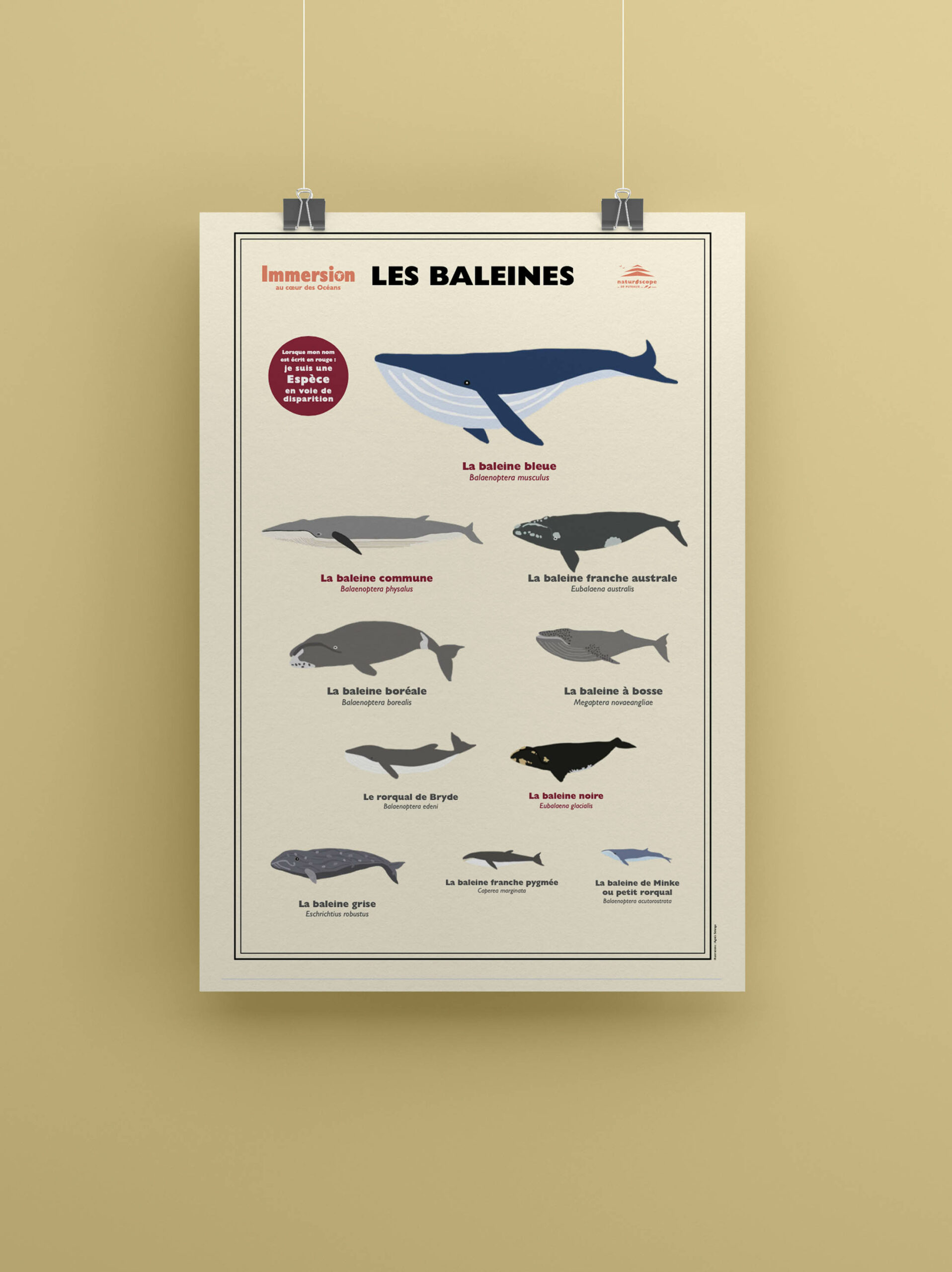 posters oceans_mise en situation_blaines