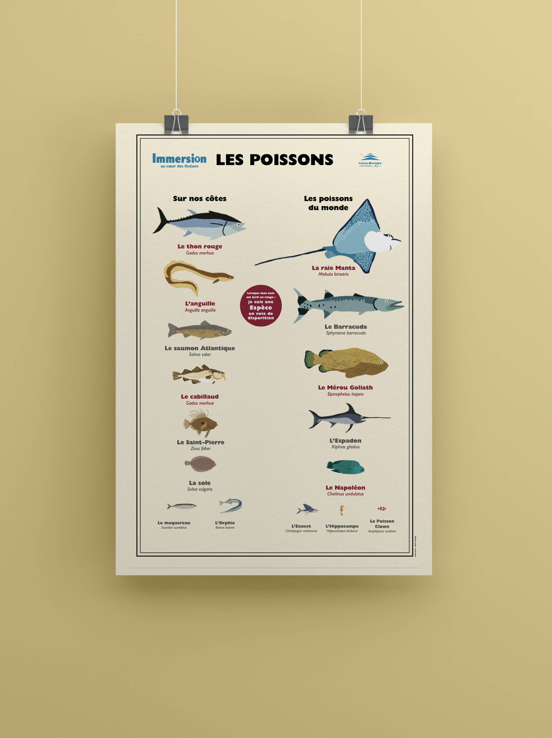 posters oceans_mise en situation_poissons