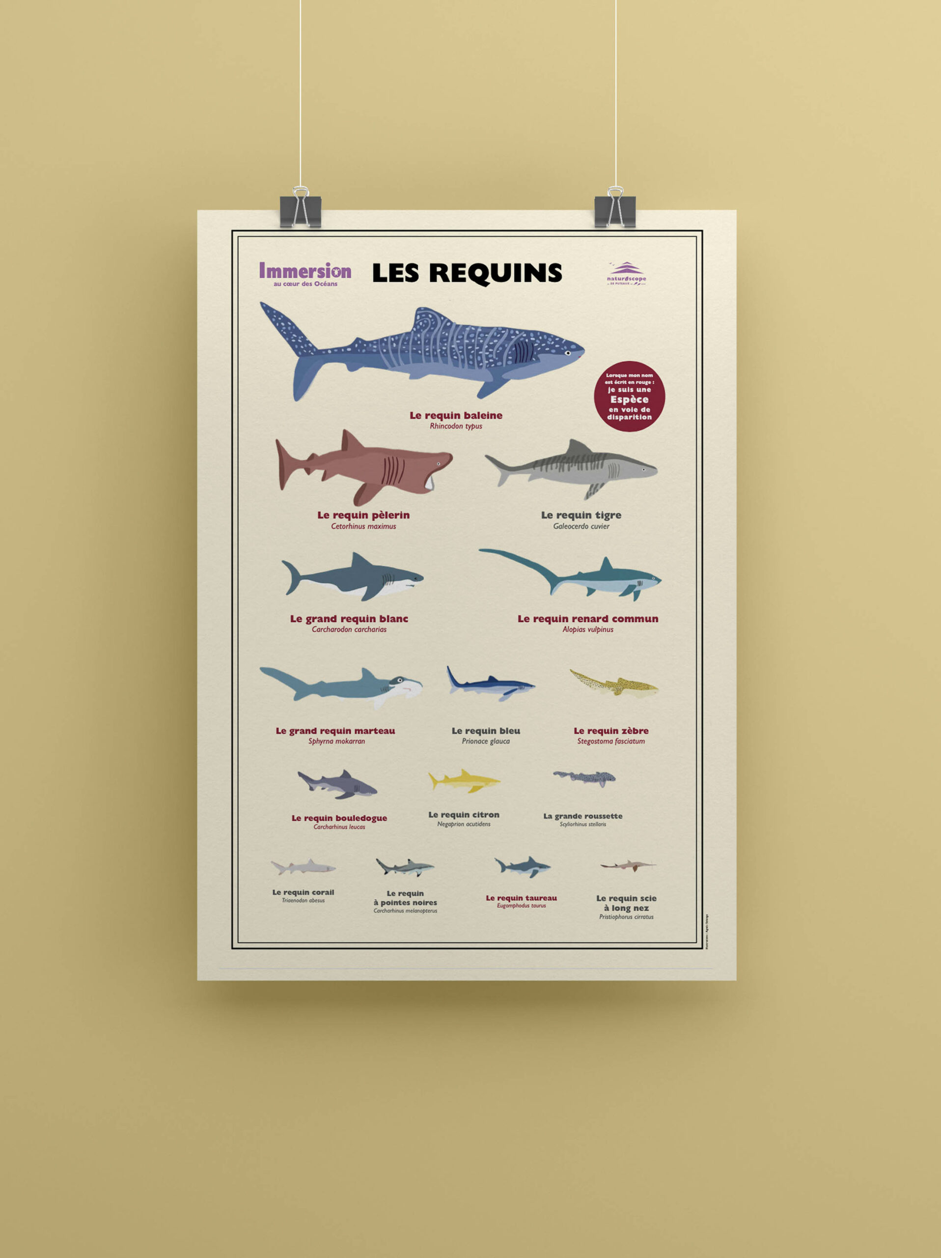 posters oceans_mise en situation_requins