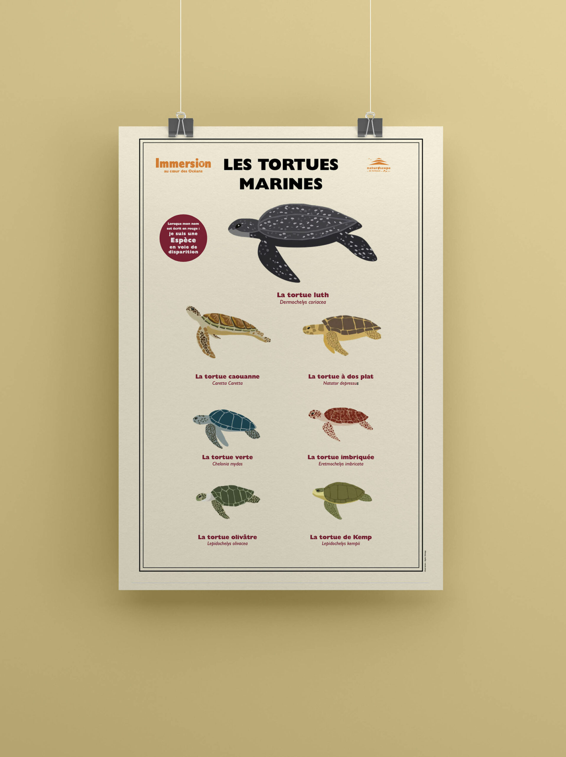 posters oceans_mise en situation_tortues